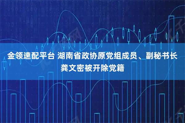 金领速配平台 湖南省政协原党组成员、副秘书长龚文密被开除党籍
