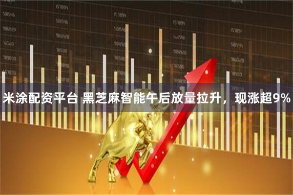 米涂配资平台 黑芝麻智能午后放量拉升，现涨超9%