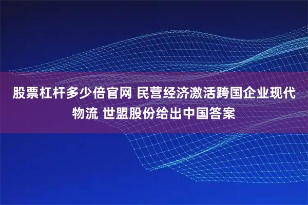 股票杠杆多少倍官网 民营经济激活跨国企业现代物流 世盟股份给出中国答案